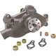 Purchase Top-Quality New Water Pump by DAYCO - DP1313 pa1