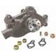 Purchase Top-Quality New Water Pump by DAYCO - DP1313 pa4