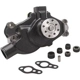 Purchase Top-Quality New Water Pump by DAYCO - DP1331 pa2