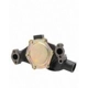 Purchase Top-Quality New Water Pump by DAYCO - DP1331 pa3