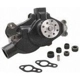 Purchase Top-Quality New Water Pump by DAYCO - DP1331 pa4