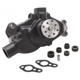 Purchase Top-Quality New Water Pump by DAYCO - DP1331 pa5