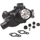 Purchase Top-Quality New Water Pump by DAYCO - DP1331 pa6
