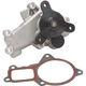 Purchase Top-Quality New Water Pump by DAYCO - DP1379 pa2