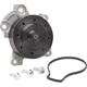 Purchase Top-Quality New Water Pump by DAYCO - DP1442 pa1