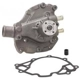Purchase Top-Quality New Water Pump by DAYCO - DP1455 pa4