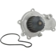 Purchase Top-Quality New Water Pump by DAYCO - DP241 pa1