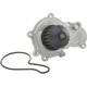 Purchase Top-Quality New Water Pump by DAYCO - DP241 pa7