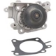 Purchase Top-Quality New Water Pump by DAYCO - DP242 pa4