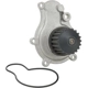 Purchase Top-Quality New Water Pump by DAYCO - DP507 pa3