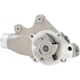 Purchase Top-Quality New Water Pump by DAYCO - DP609 pa6