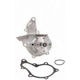 Purchase Top-Quality New Water Pump by DAYCO - DP768 pa4