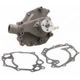 Purchase Top-Quality New Water Pump by DAYCO - DP815 pa4
