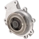 Purchase Top-Quality DAYCO - DP817 - New Water Pump pa2