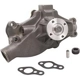 Purchase Top-Quality New Water Pump by DAYCO - DP819 pa1