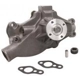 Purchase Top-Quality New Water Pump by DAYCO - DP819 pa3