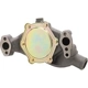 Purchase Top-Quality New Water Pump by DAYCO - DP829 pa2