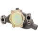 Purchase Top-Quality New Water Pump by DAYCO - DP829 pa4