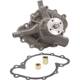 Purchase Top-Quality New Water Pump by DAYCO - DP834 pa2