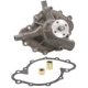 Purchase Top-Quality New Water Pump by DAYCO - DP834 pa3