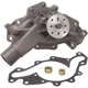 Purchase Top-Quality New Water Pump by DAYCO - DP842 pa1