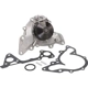 Purchase Top-Quality New Water Pump by DAYCO - DP916 pa2