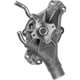 Purchase Top-Quality New Water Pump by DAYCO - DP957H pa7