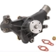 Purchase Top-Quality New Water Pump by DAYCO - DP9631 pa2