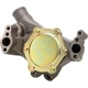 Purchase Top-Quality DAYCO - DP967 - New Water Pump pa1