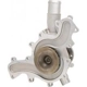 Purchase Top-Quality DAYCO - DP973 - New Water Pump pa3