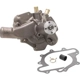 Purchase Top-Quality New Water Pump by DAYCO - DP995 pa2
