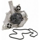 Purchase Top-Quality New Water Pump by DAYCO - DP996 pa4