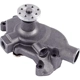 Purchase Top-Quality GATES - 43106 - New Water Pump pa5