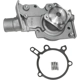 Purchase Top-Quality New Water Pump by GMB - 125-1900 pa12