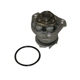 Purchase Top-Quality New Water Pump by GMB - 180-9020 pa3
