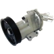 Purchase Top-Quality GRAF - PA860 - Water Pump pa1