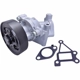 Purchase Top-Quality New Water Pump by HITACHI - WUP0004 pa12