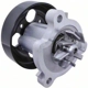 Purchase Top-Quality New Water Pump by HITACHI - WUP0035 pa3