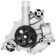 Purchase Top-Quality SKP - SK1204470 - Engine Water Pump pa9