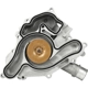 Purchase Top-Quality SKP - SK1204600 - Engine Water Pump pa5