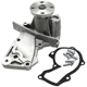 Purchase Top-Quality SKP - SK1253300 - Engine Water Pump pa8