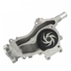 Purchase Top-Quality SKP - SK1302140 - Engine Water Pump pa8