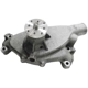 Purchase Top-Quality SKP - SK1302981 - Engine Water Pump pa1