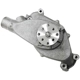 Purchase Top-Quality SKP - SK1302981 - Engine Water Pump pa2