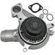 Purchase Top-Quality SKP - SK42349BH - Engine Water Pump pa6