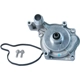 Purchase Top-Quality New Water Pump by URO - 079121014D pa1