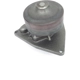 Purchase Top-Quality US MOTOR WORKS - US69NX - Engine Water Pump pa2