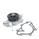 Purchase Top-Quality US MOTOR WORKS - US7160 - Engine Water Pump pa4