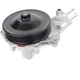 Purchase Top-Quality US MOTOR WORKS - US8120 - Engine Water Pump pa1