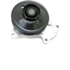 Purchase Top-Quality US MOTOR WORKS - US8179 - Engine Water Pump pa1